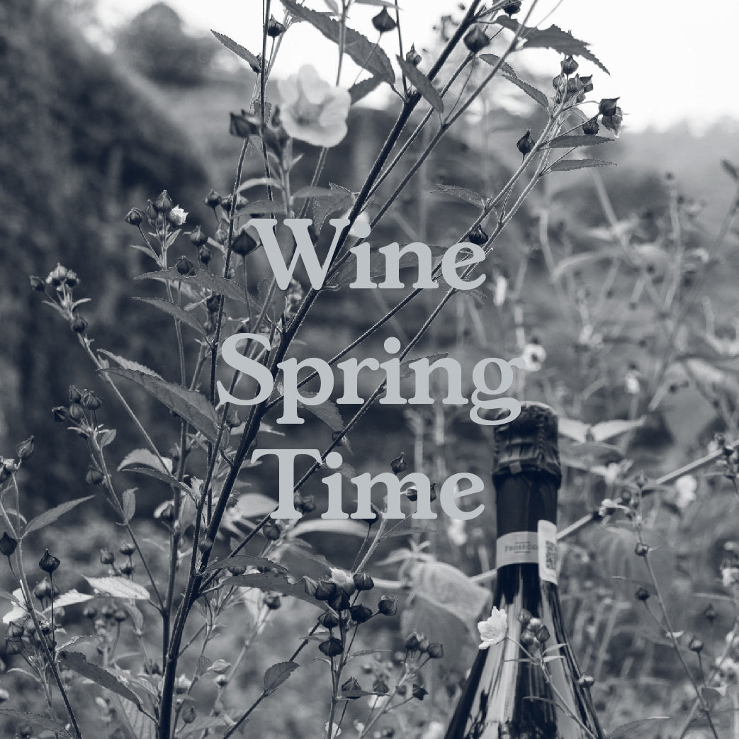 Wine Spring Time - 23 de Marzo, 8:00 pm, Polanco